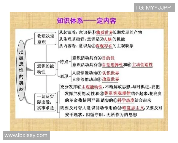 北京羽毛球队意识对比深度剖析与战术思维的独特视角